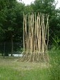 Up and down, 2009, Nature Park, NL, willow, bark peeled Down, 400x300 cm. (2x)