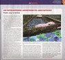 article in The Engineer, 2012