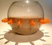 Fishbowl I   38x20 cm.